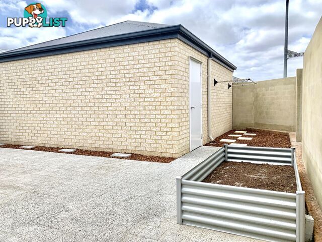 37 Dalgarup Way ELLENBROOK WA 6069