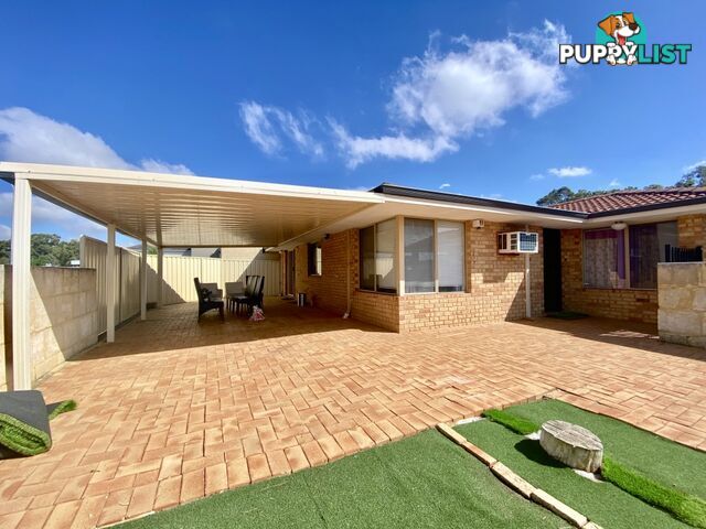 1 Mahogany Road MORLEY WA 6062