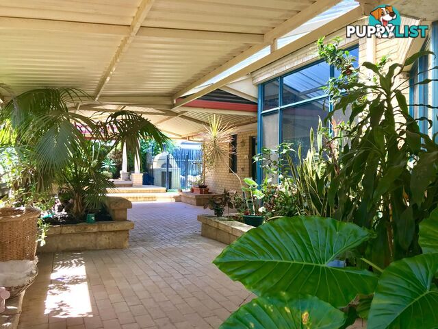 34 Ponte Vecchio Boulevard ELLENBROOK WA 6069