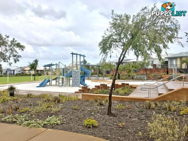 129 Grassdale Parkway ELLENBROOK WA 6069