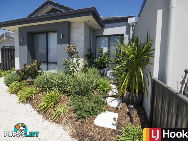 17 Pelagic Way AVELEY WA 6069