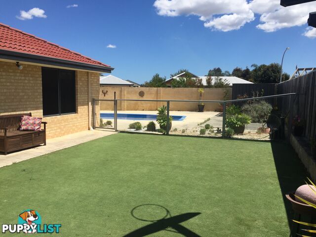 8 Withnell Drive ELLENBROOK WA 6069