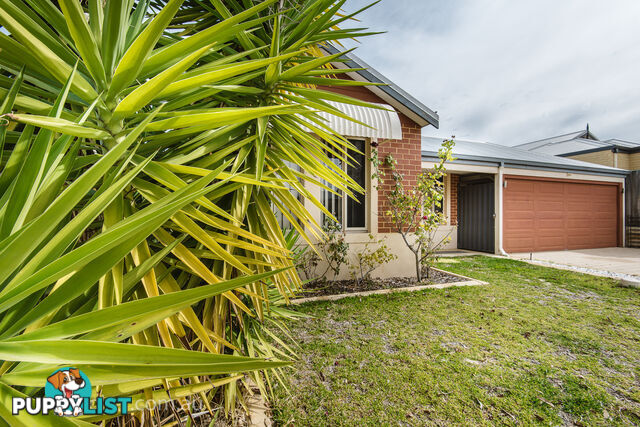 20 Simmonds Pass ELLENBROOK WA 6069