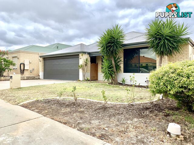 48 Ardmore Parade ELLENBROOK WA 6069