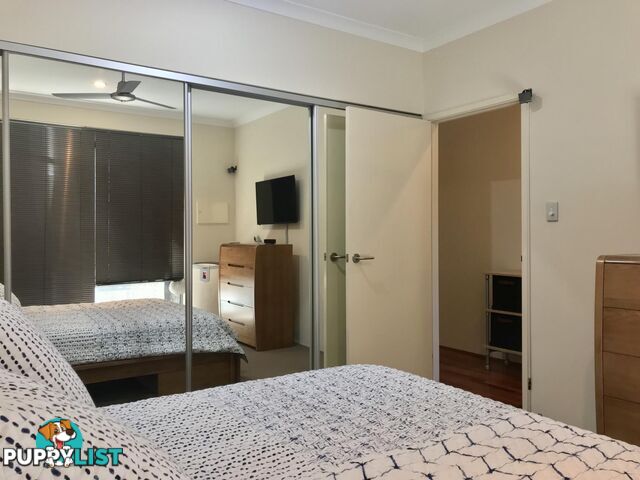 19 Liten Lane ELLENBROOK WA 6069