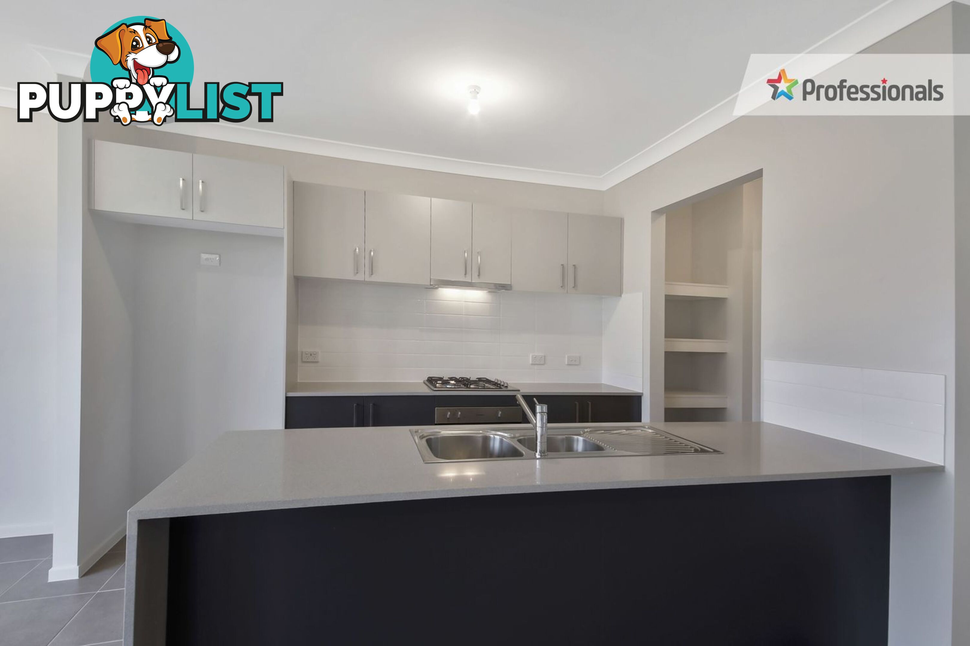 45 Kingsman Avenue Elderslie NSW 2570