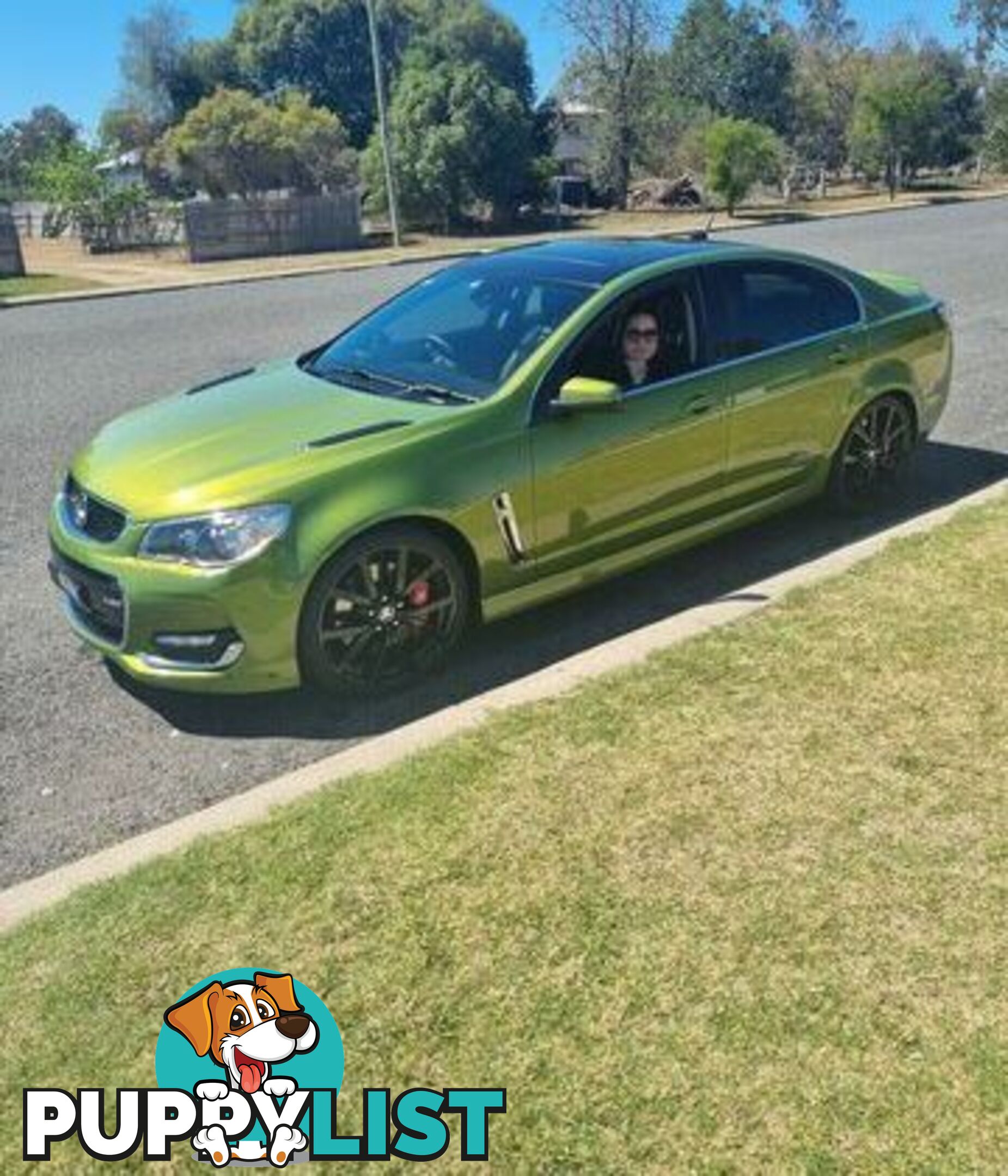 2016 Holden Commodore VF-SERIES-II-MY16 SSV Sedan Automatic