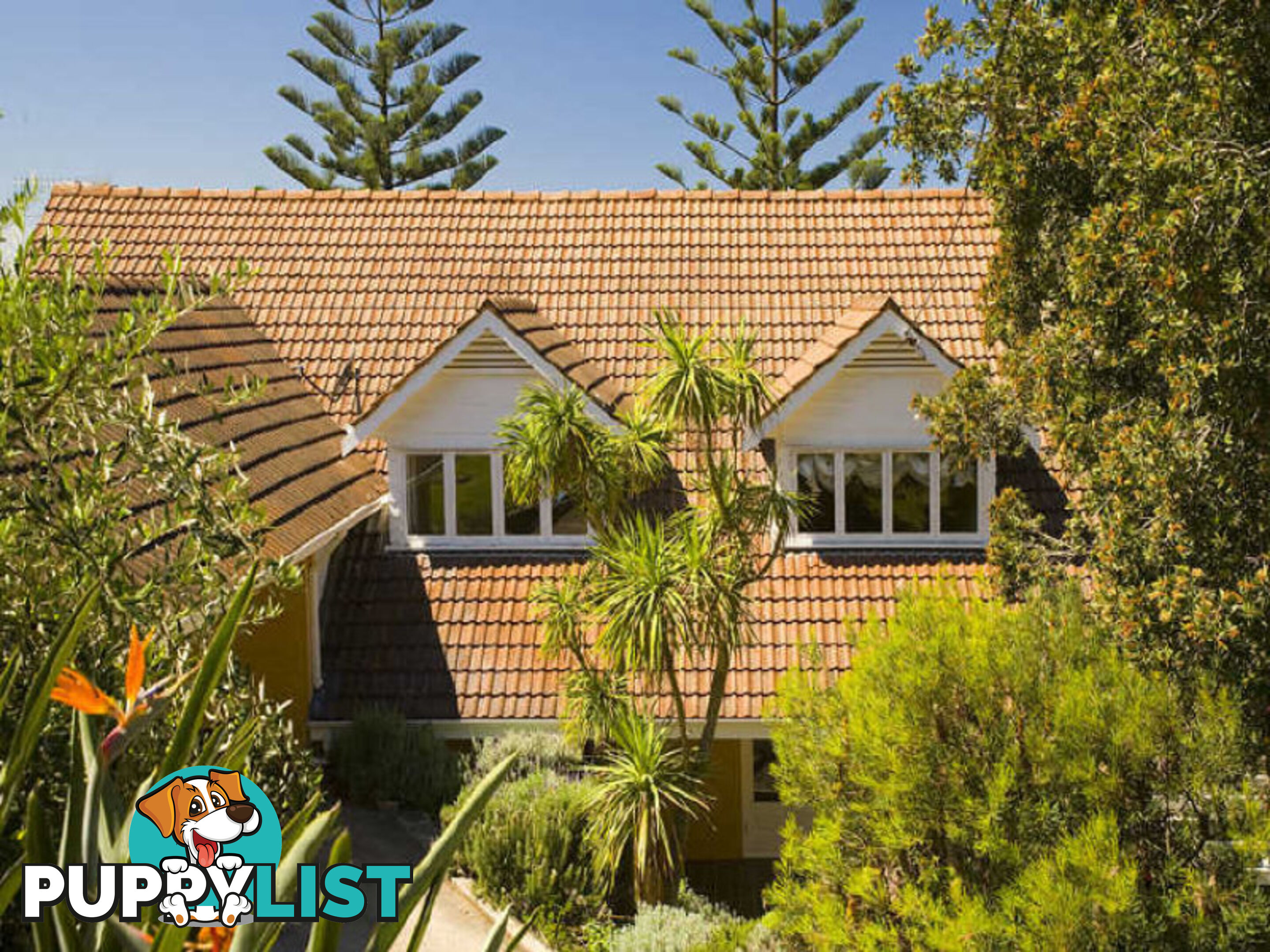 24 Palm Beach Road PALM BEACH NSW 2108