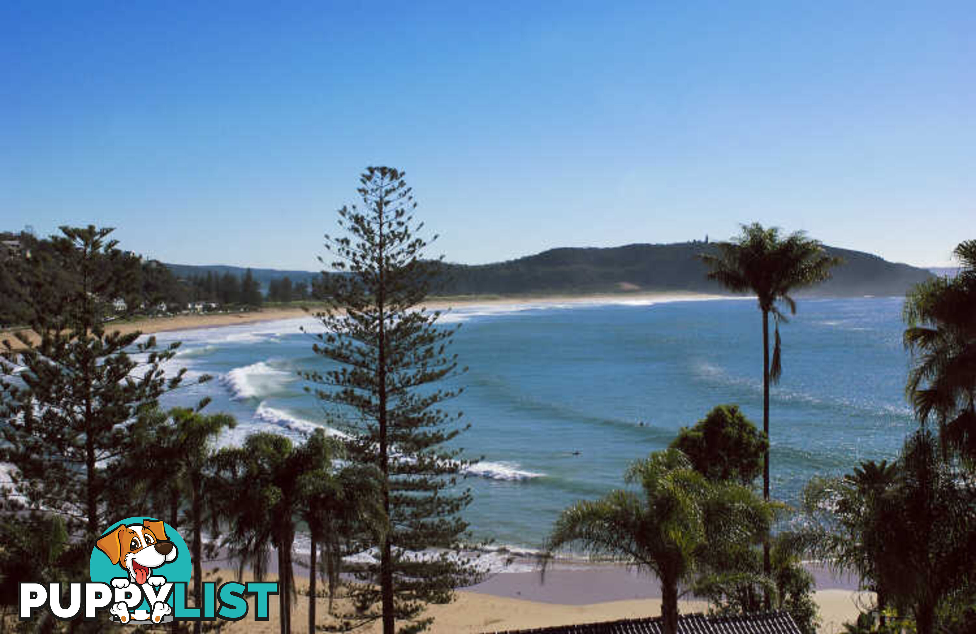 PALM BEACH NSW 2108