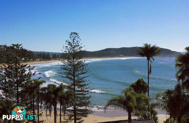 PALM BEACH NSW 2108