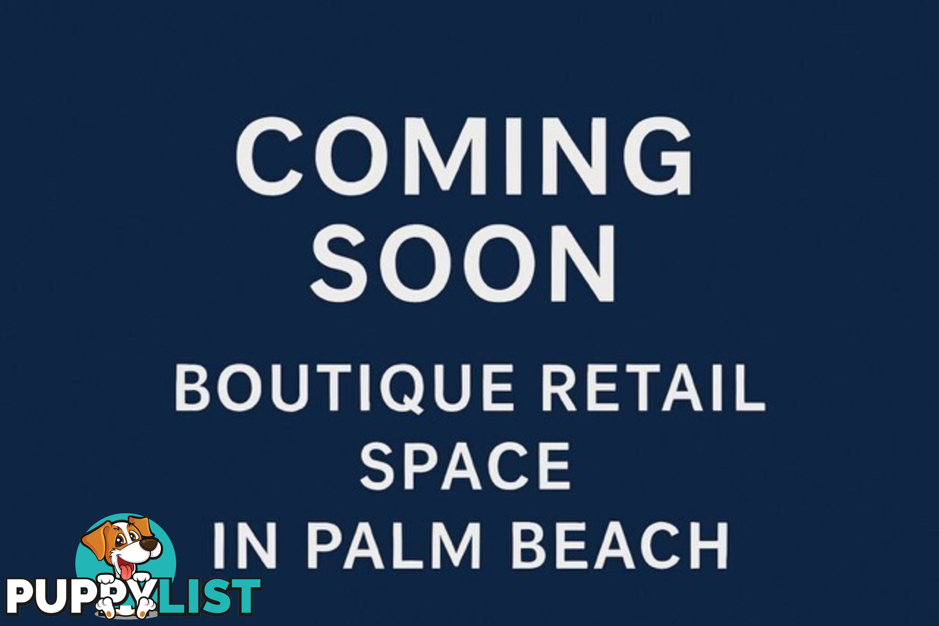 1065 Barrenjoey Road PALM BEACH NSW 2108