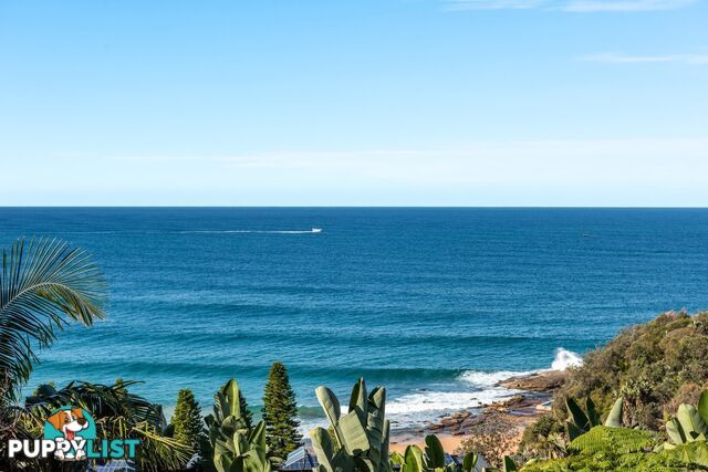 Lower/10 Surf Road WHALE BEACH NSW 2107