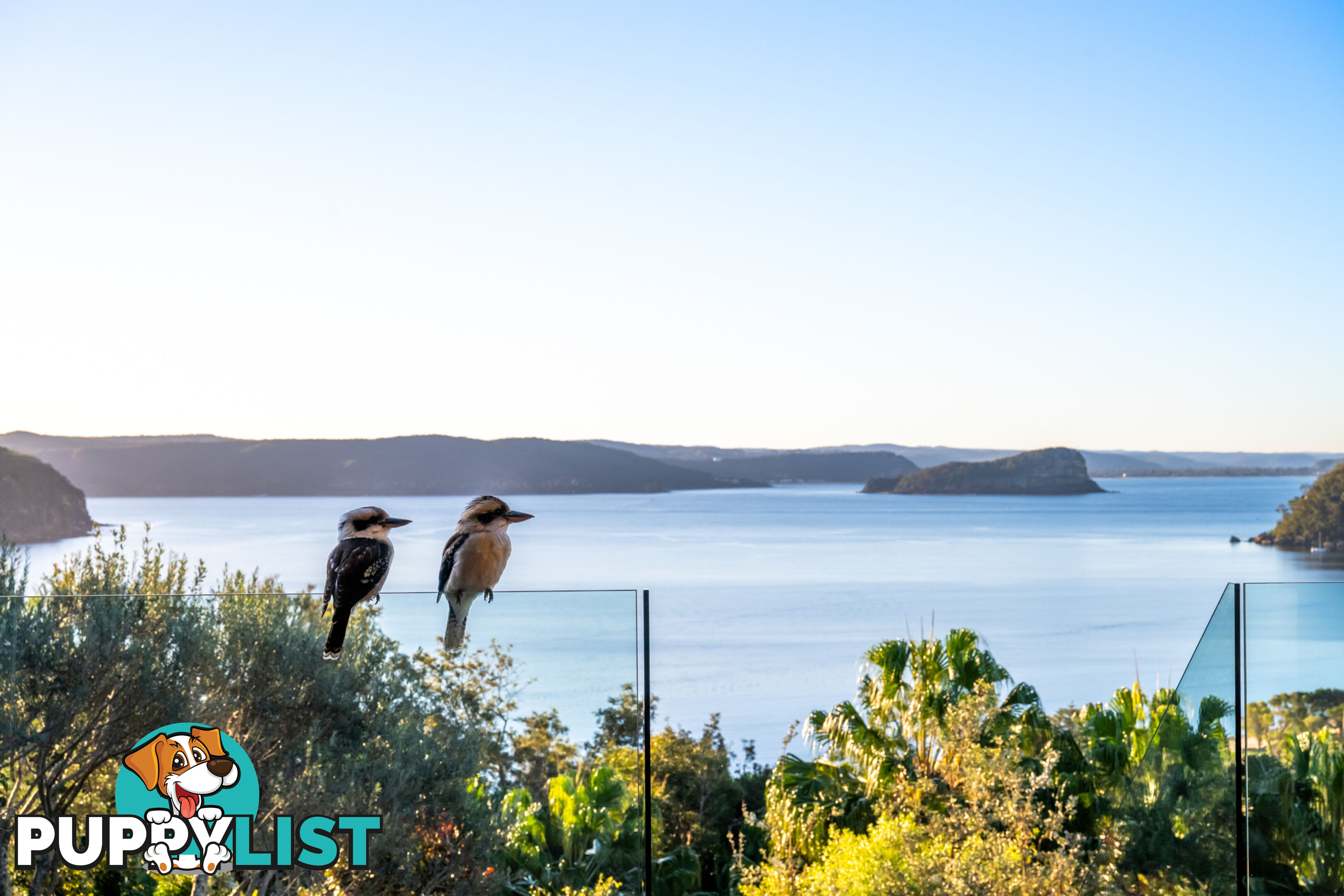 46 Sunrise Road PALM BEACH NSW 2108