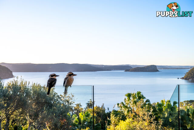 46 Sunrise Road PALM BEACH NSW 2108
