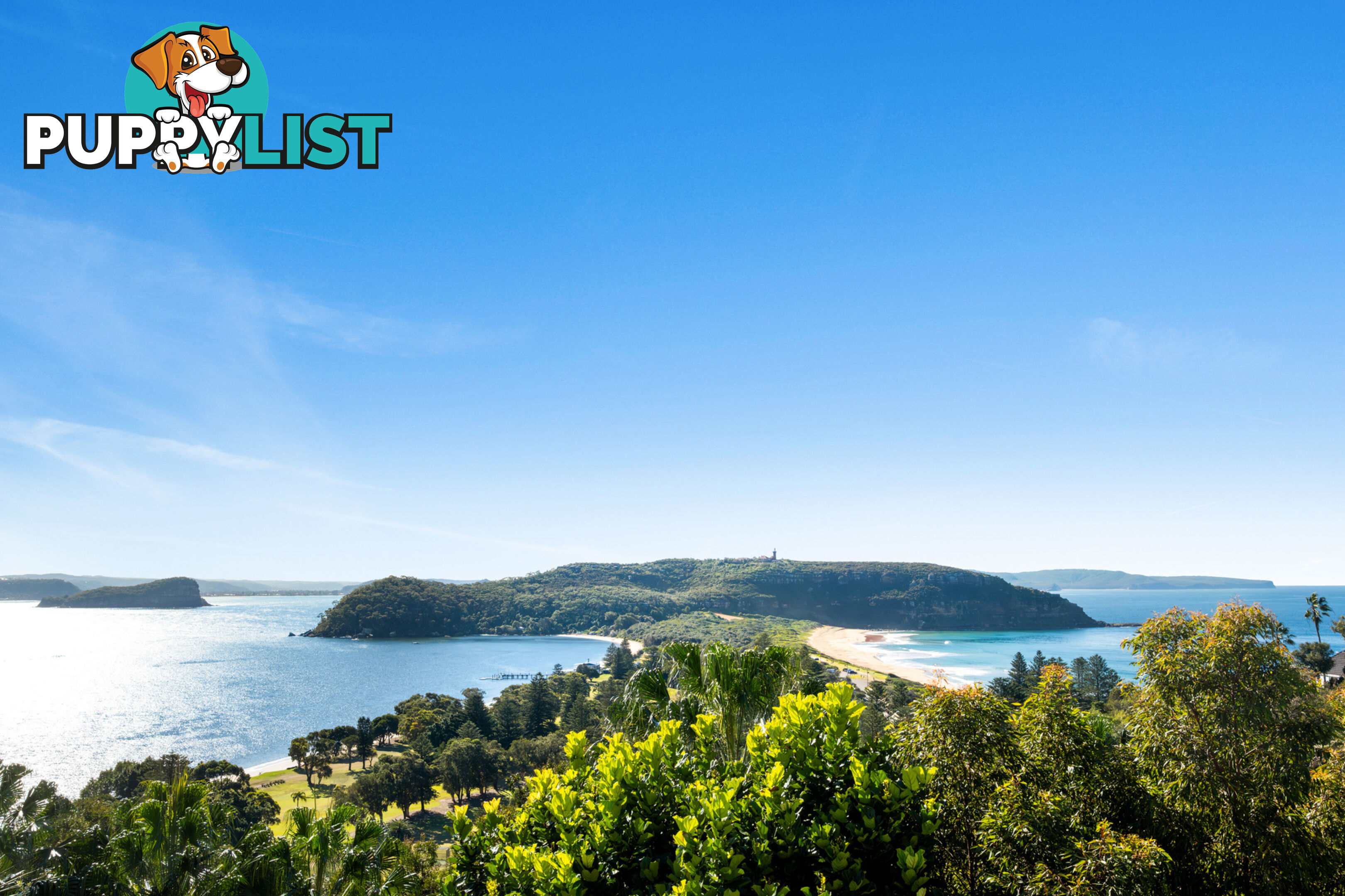 46 Sunrise Road PALM BEACH NSW 2108