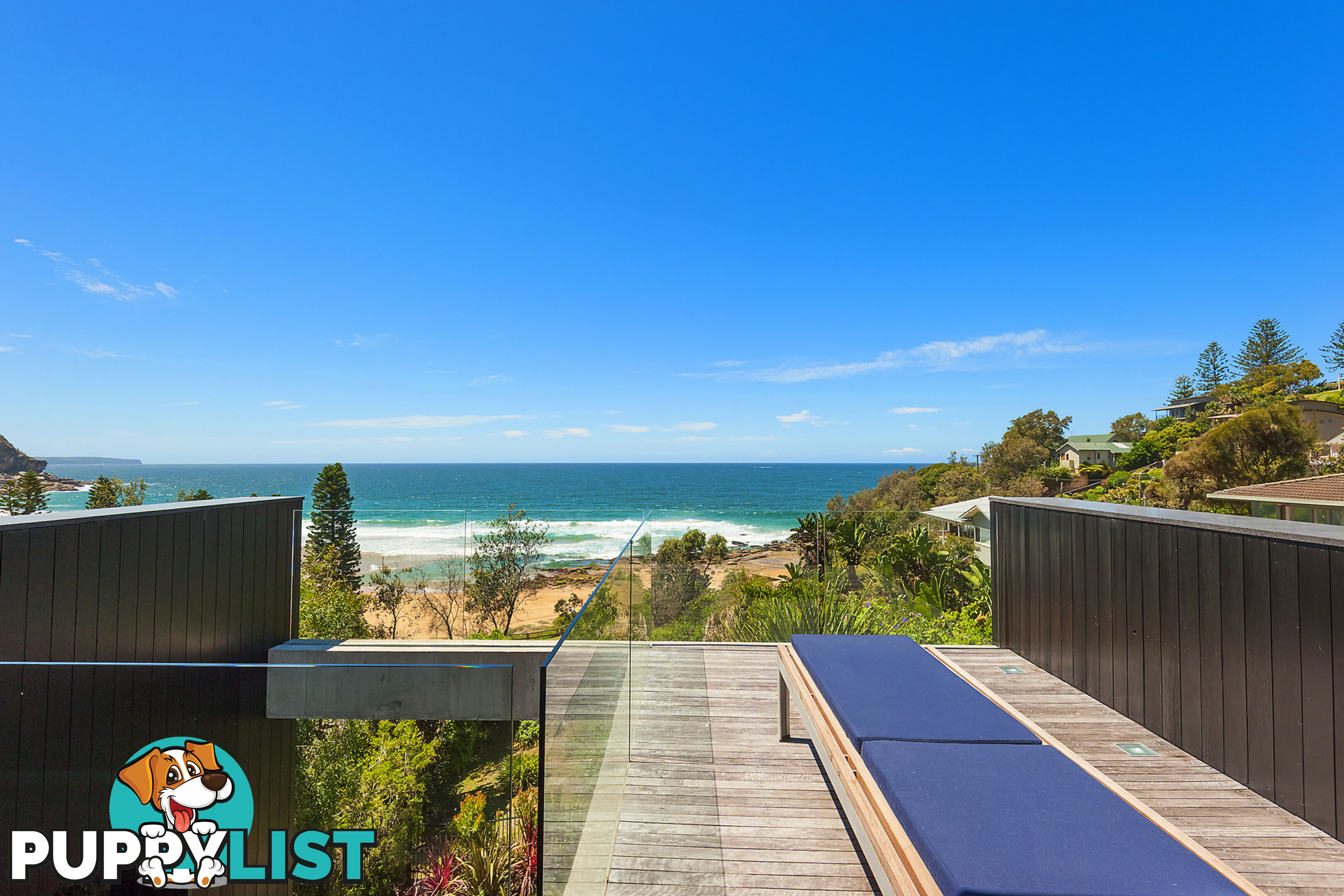 207 Whale Beach Road WHALE BEACH NSW 2107