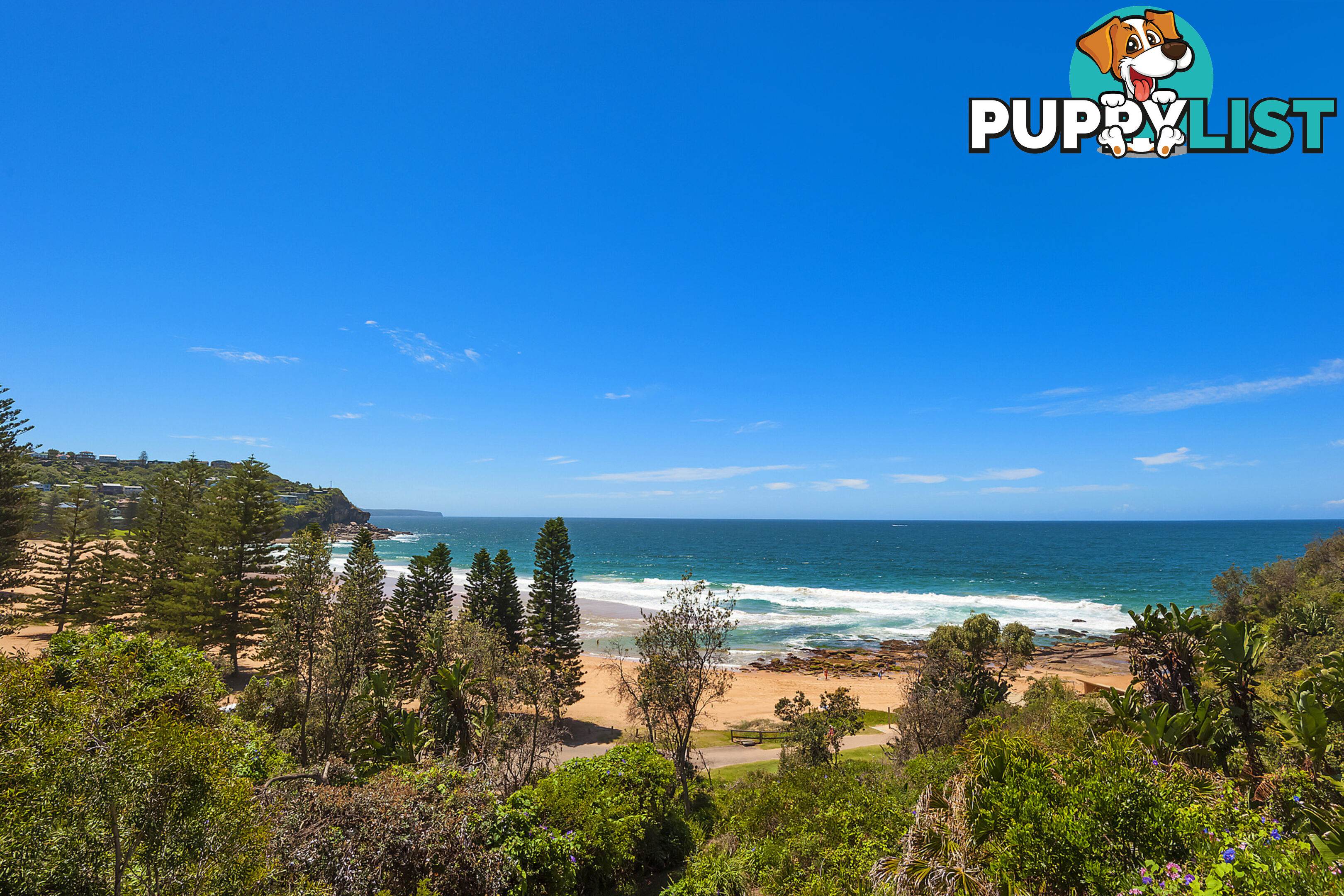 207 Whale Beach Road WHALE BEACH NSW 2107