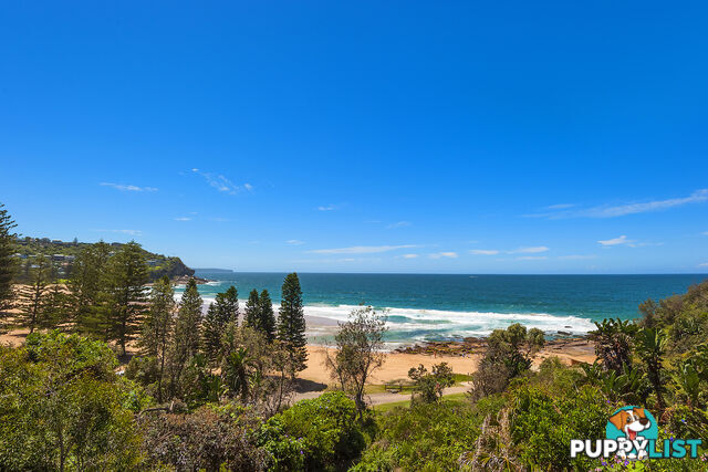 207 Whale Beach Road WHALE BEACH NSW 2107