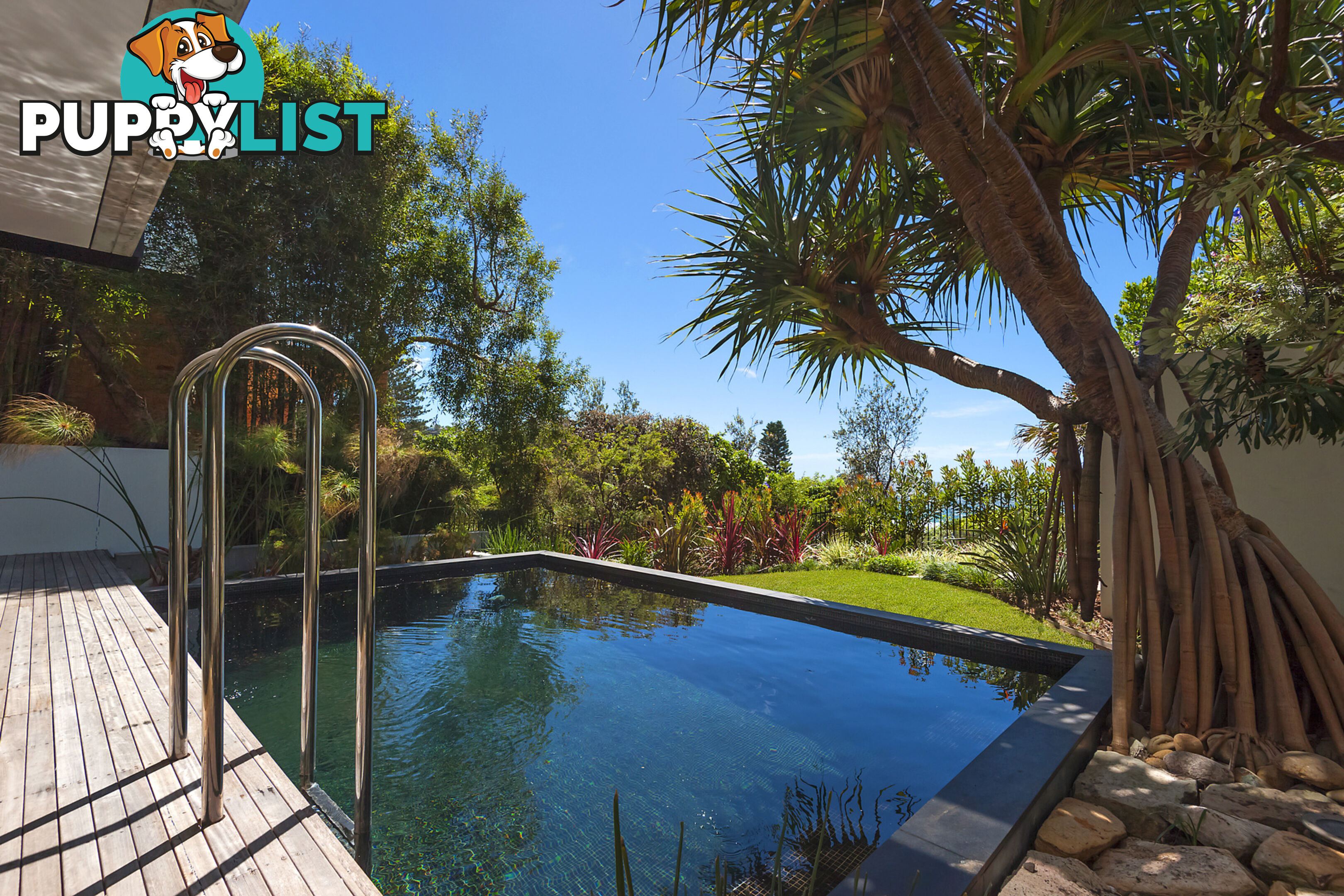 207 Whale Beach Road WHALE BEACH NSW 2107