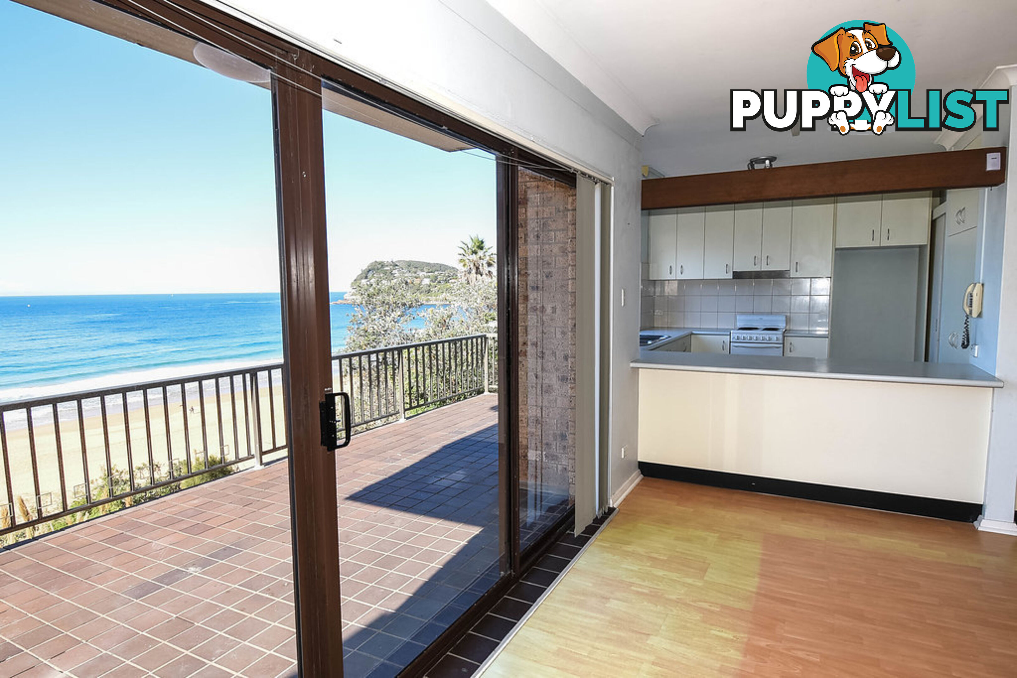 253 Whale Beach Road WHALE BEACH NSW 2107