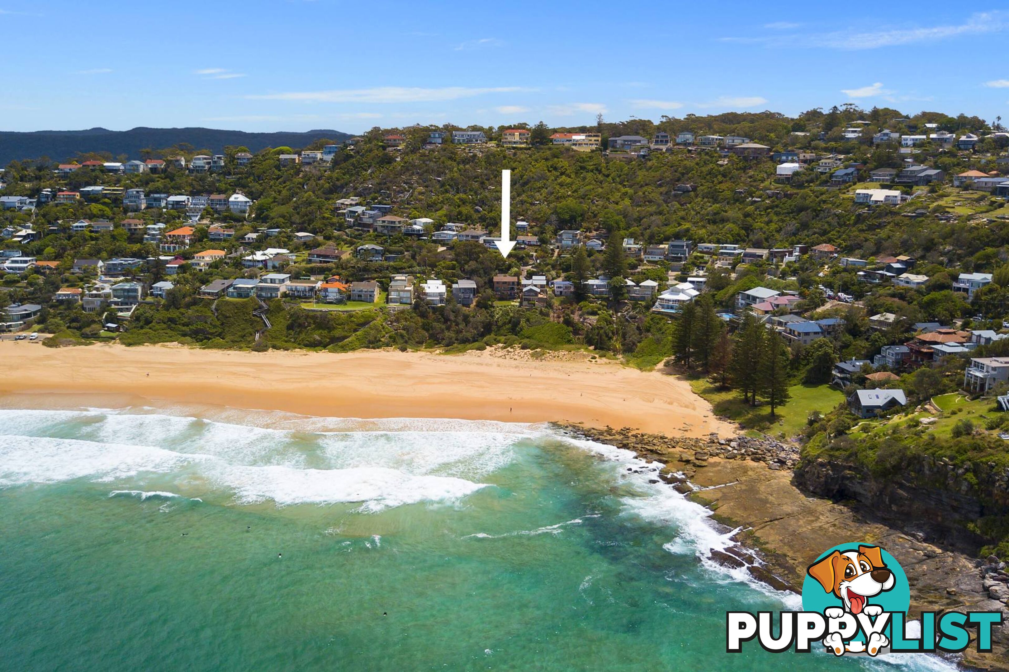 253 Whale Beach Road WHALE BEACH NSW 2107