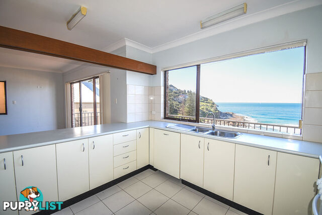 253 Whale Beach Road WHALE BEACH NSW 2107