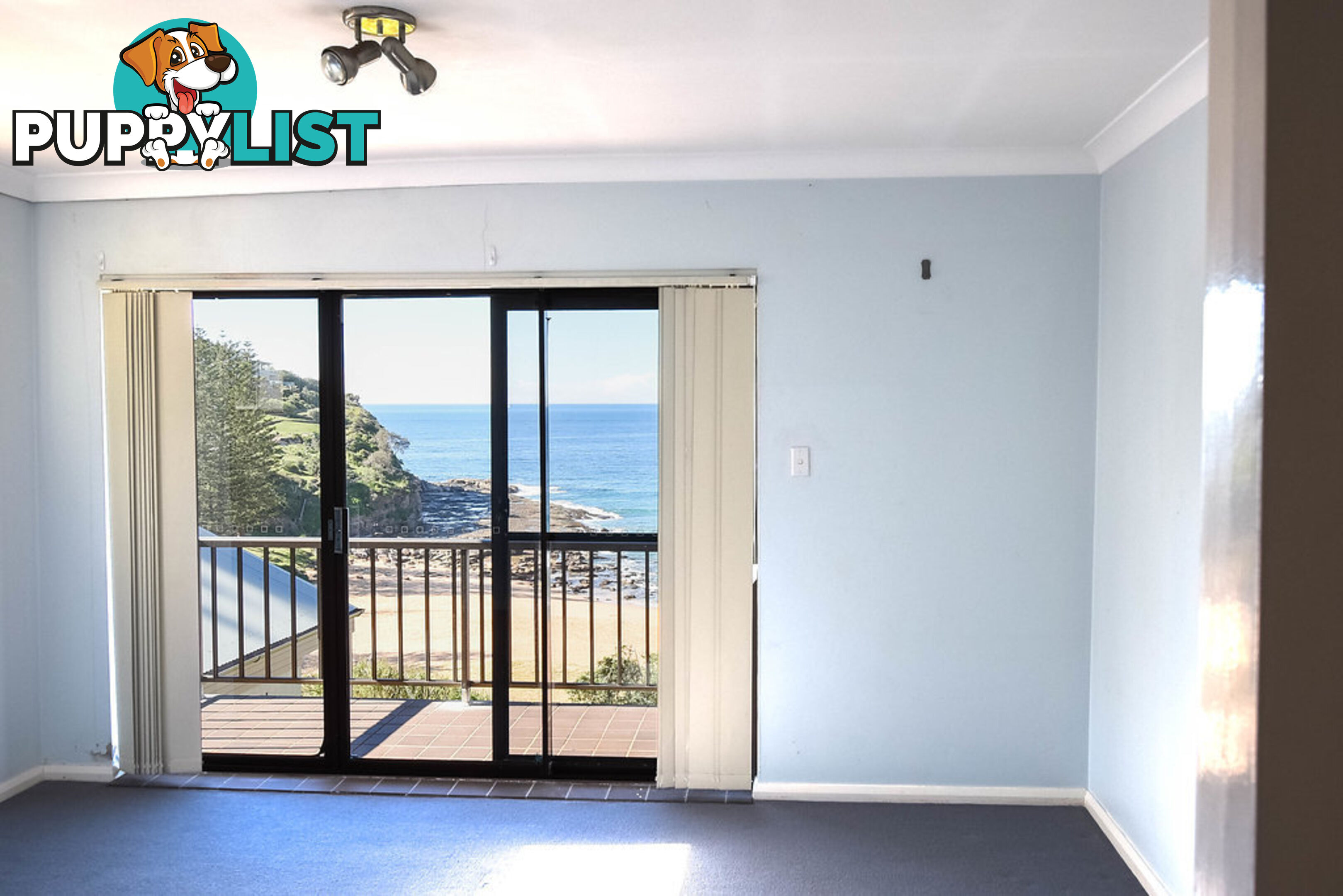 253 Whale Beach Road WHALE BEACH NSW 2107