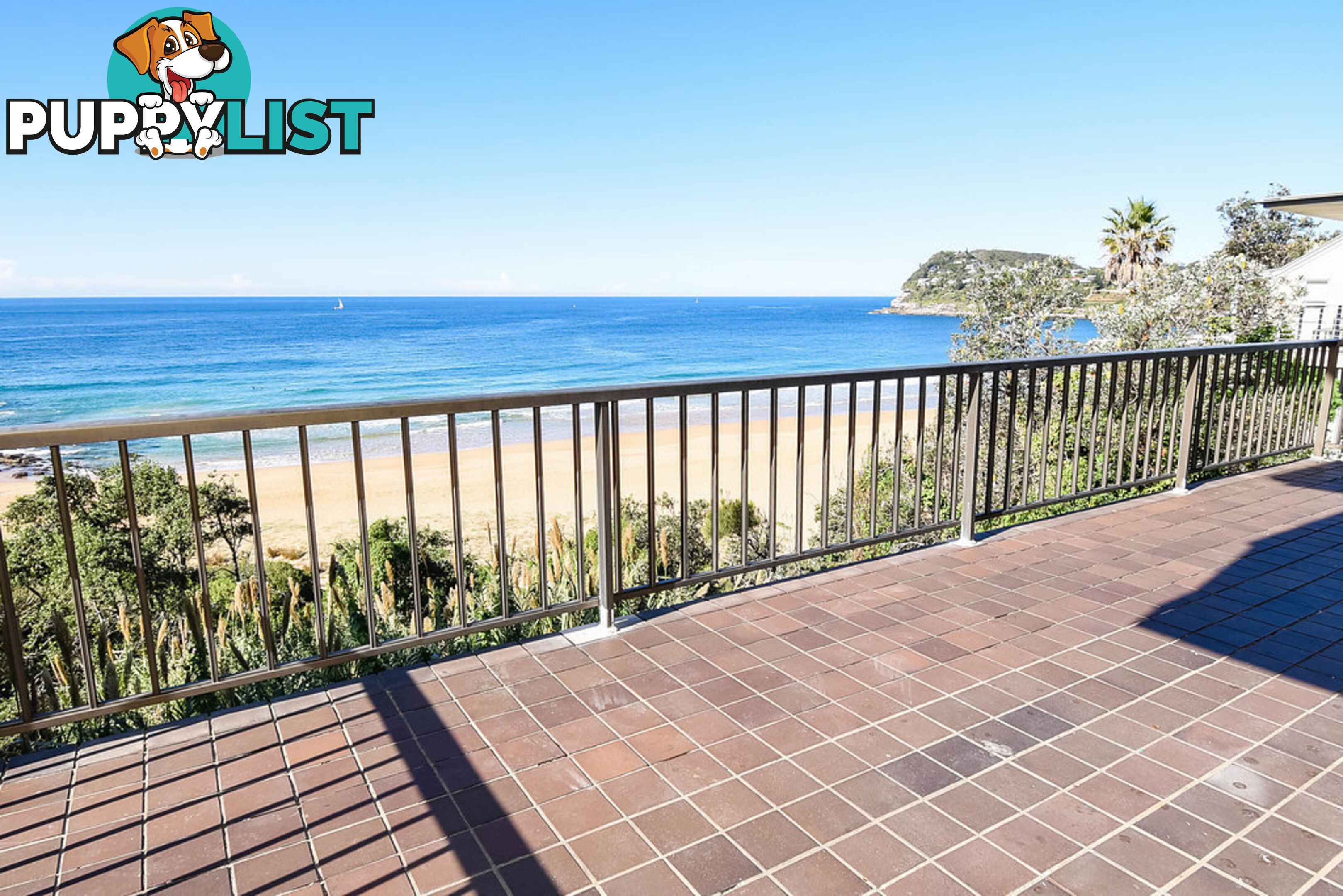 253 Whale Beach Road WHALE BEACH NSW 2107