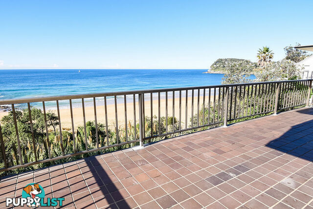 253 Whale Beach Road WHALE BEACH NSW 2107