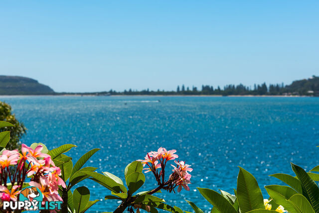 25 Ross Smith Parade GREAT MACKEREL BEACH NSW 2108