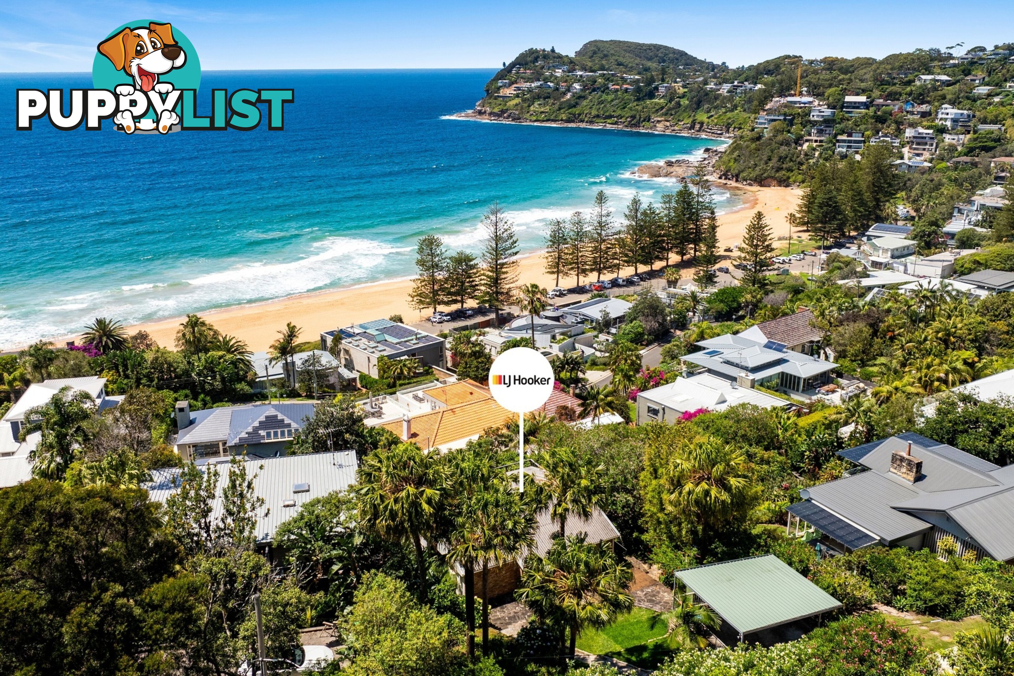 31 Morella Road WHALE BEACH NSW 2107