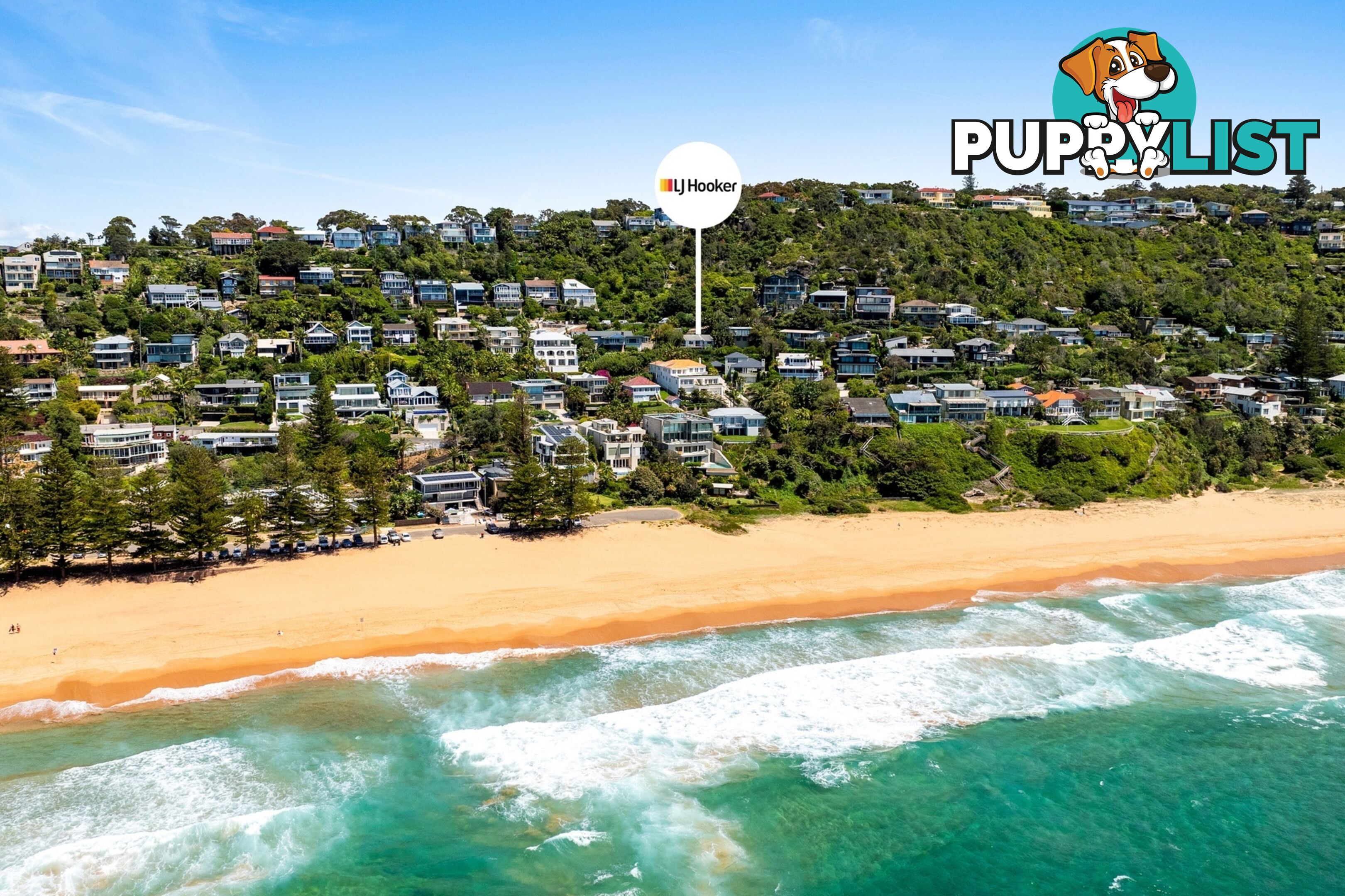 31 Morella Road WHALE BEACH NSW 2107