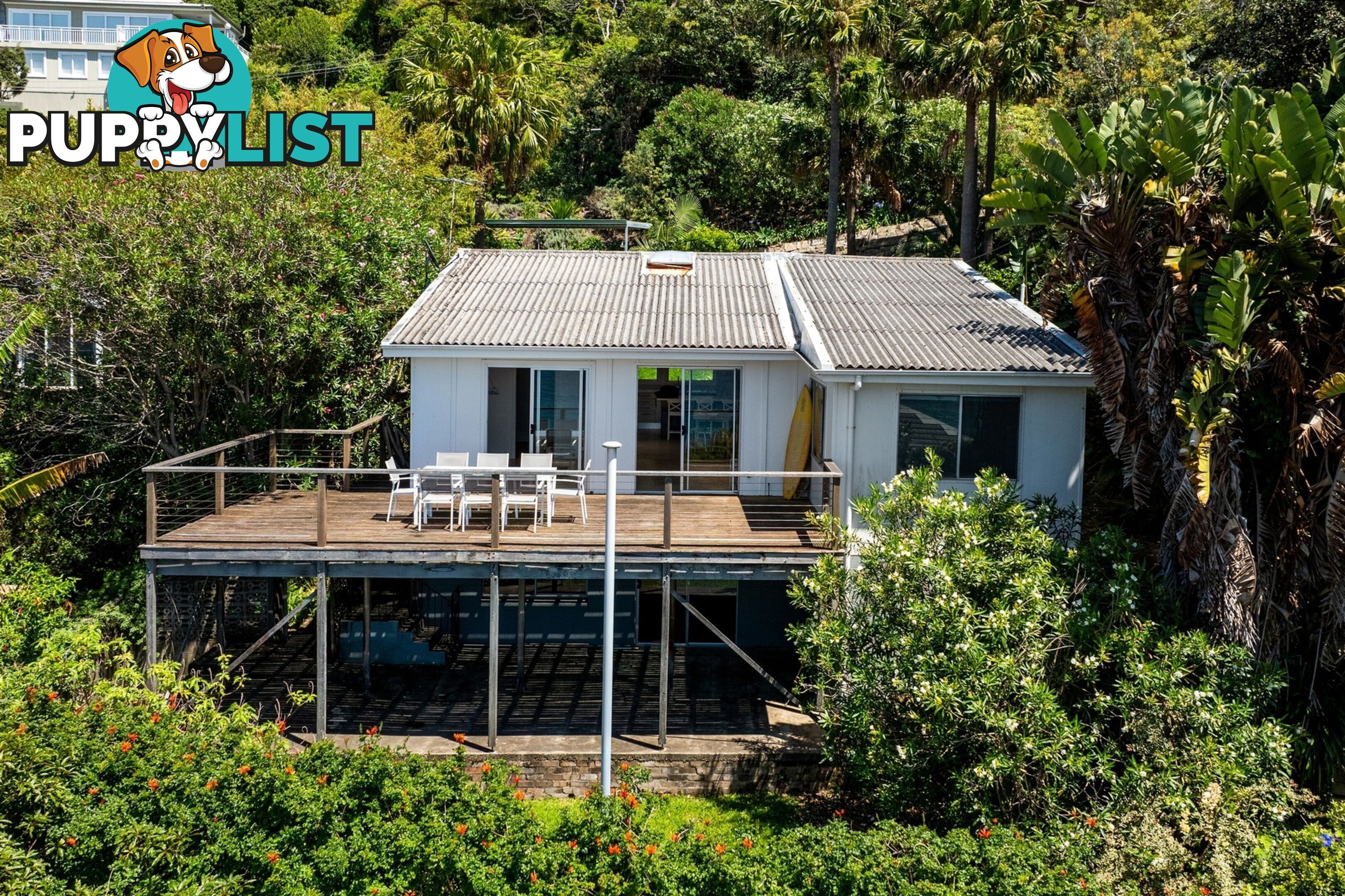 31 Morella Road WHALE BEACH NSW 2107