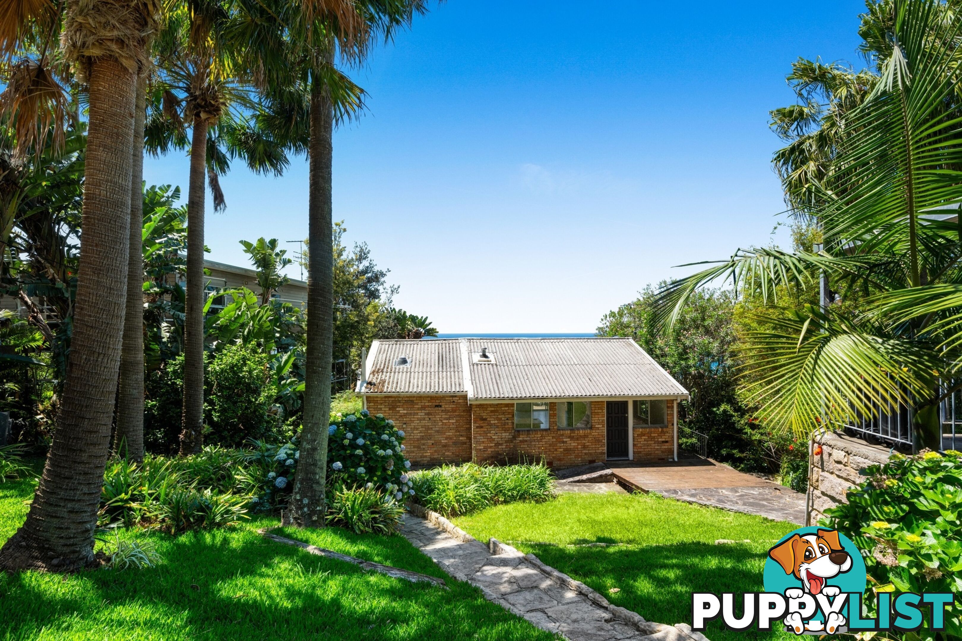 31 Morella Road WHALE BEACH NSW 2107