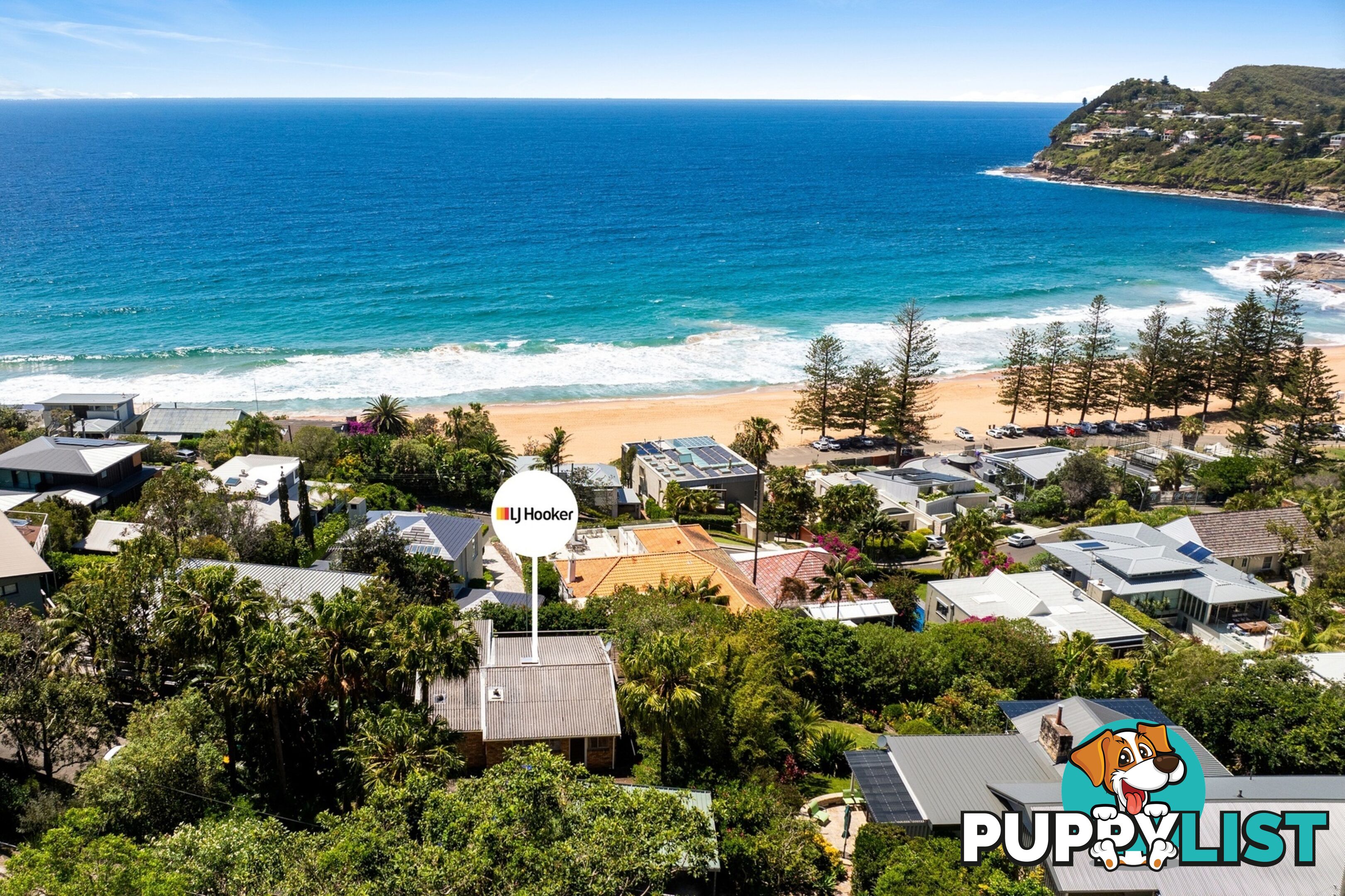 31 Morella Road WHALE BEACH NSW 2107