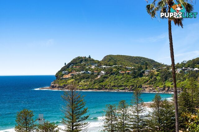 31 Morella Road WHALE BEACH NSW 2107