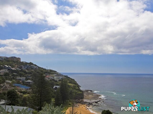 WHALE BEACH NSW 2107