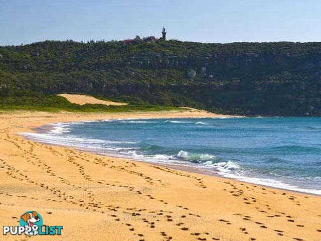 PALM BEACH NSW 2108