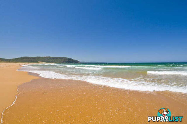 PALM BEACH NSW 2108