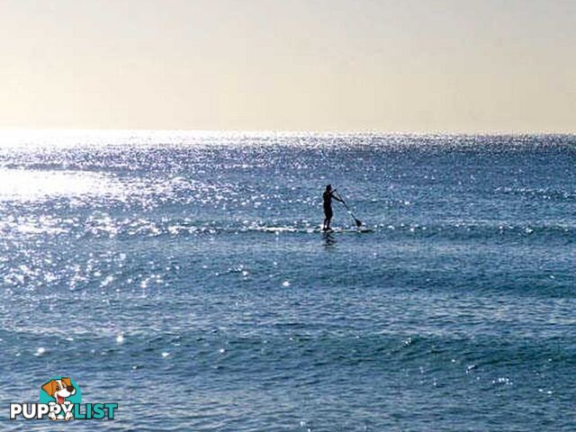 PALM BEACH NSW 2108