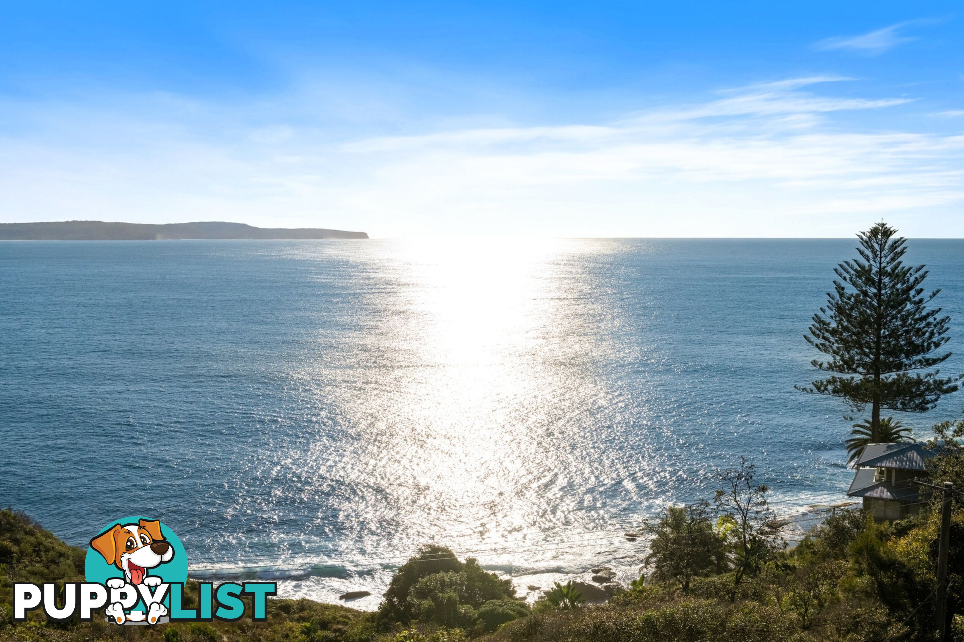 318 Whale Beach Road PALM BEACH NSW 2108