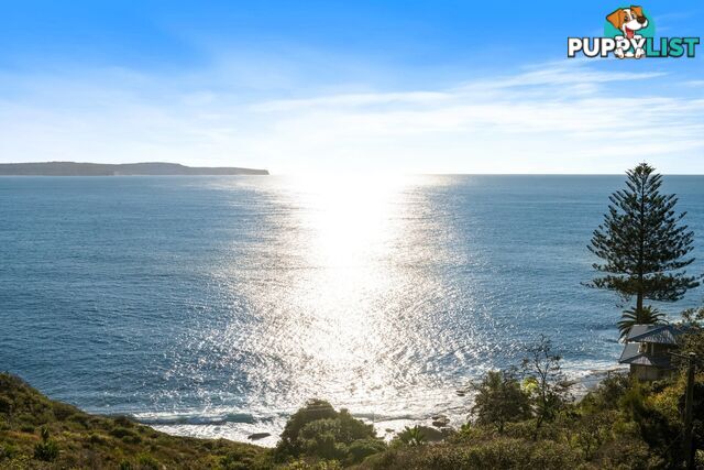 318 Whale Beach Road PALM BEACH NSW 2108