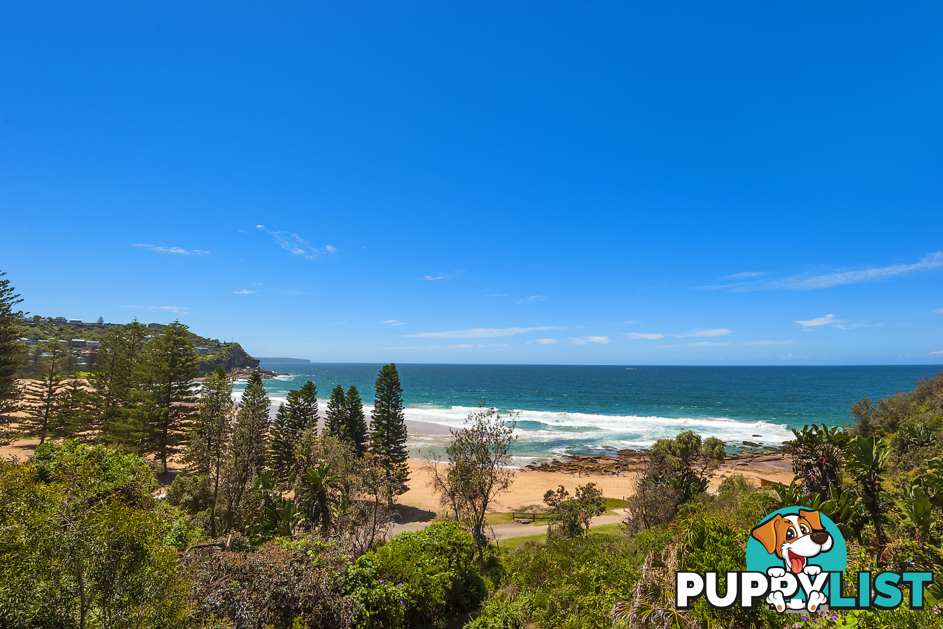 207 Whale Beach Road WHALE BEACH NSW 2107