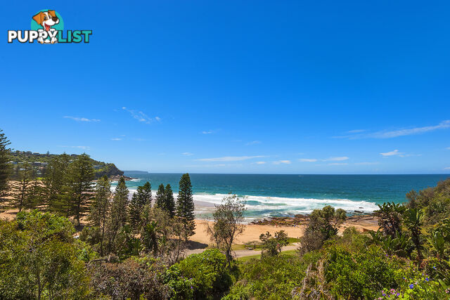 207 Whale Beach Road WHALE BEACH NSW 2107