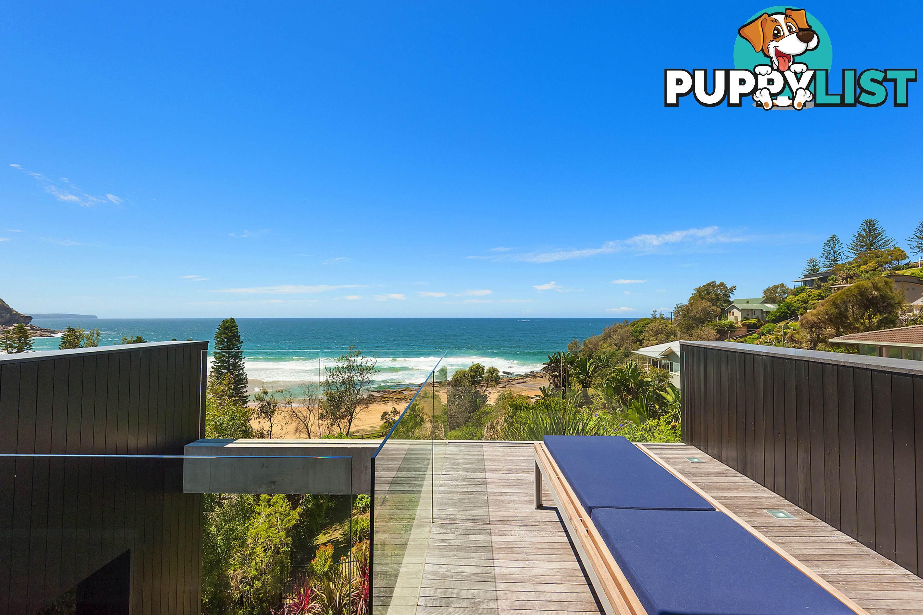 207 Whale Beach Road WHALE BEACH NSW 2107