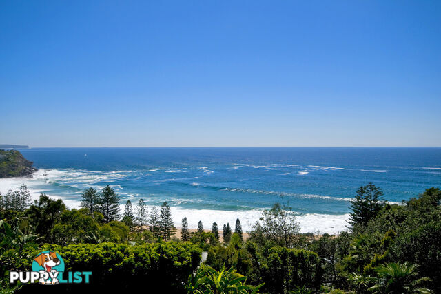 6C Surf Road WHALE BEACH NSW 2107