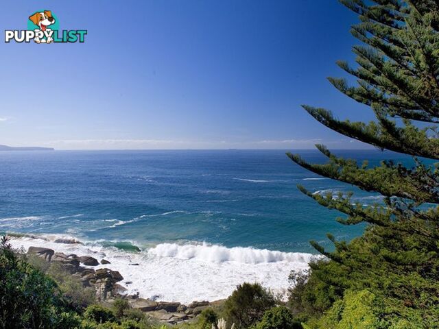 WHALE BEACH NSW 2107