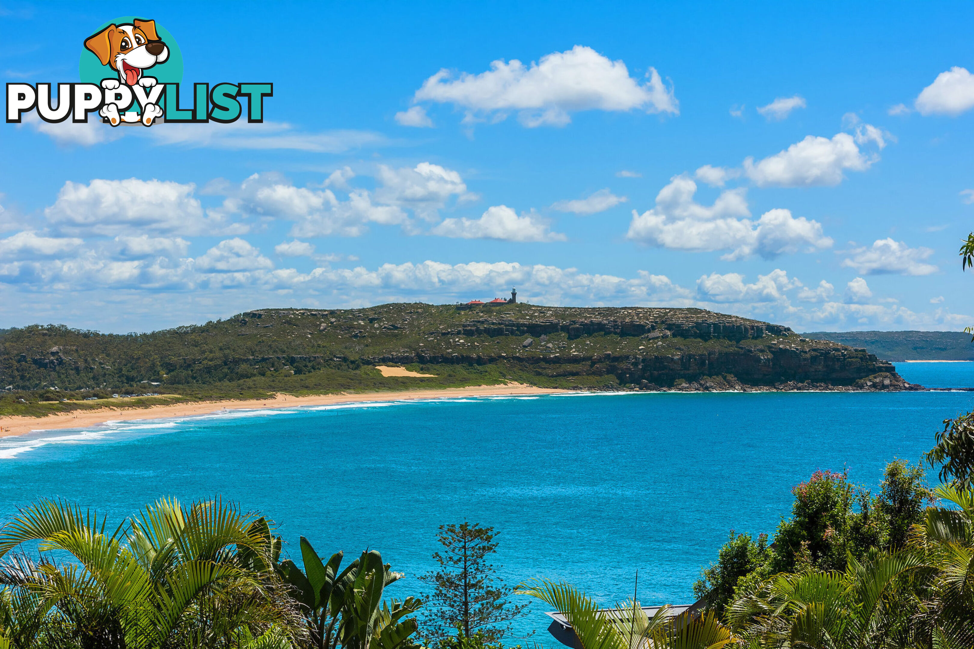 17 Florida Road PALM BEACH NSW 2108