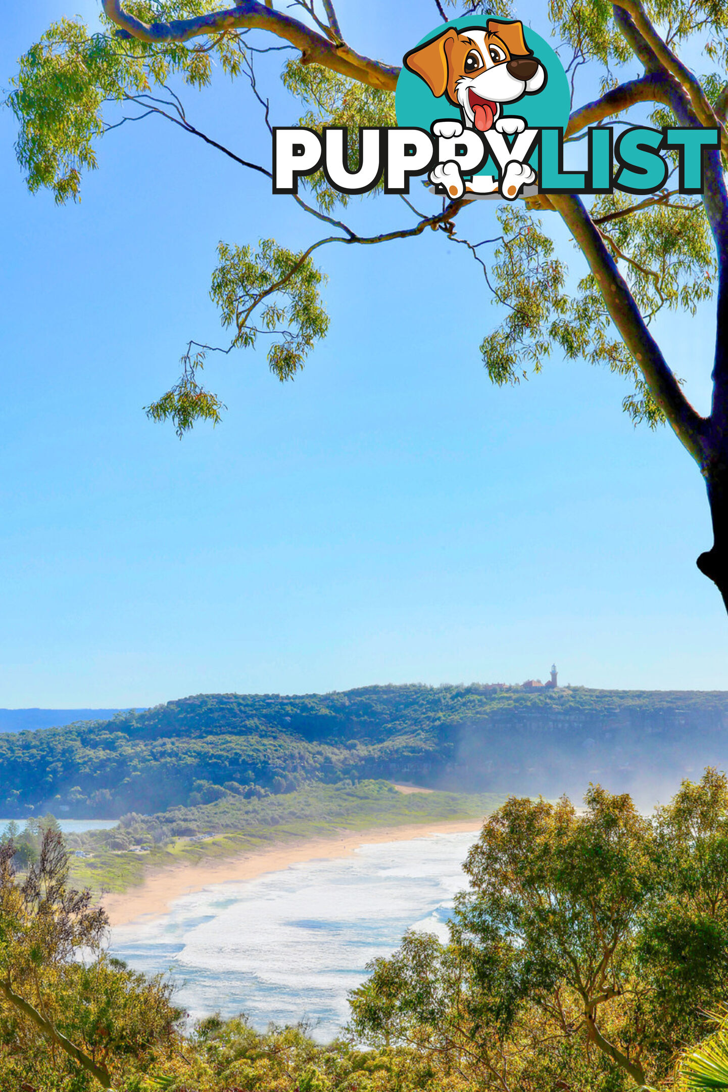 95 Pacific Road PALM BEACH NSW 2108
