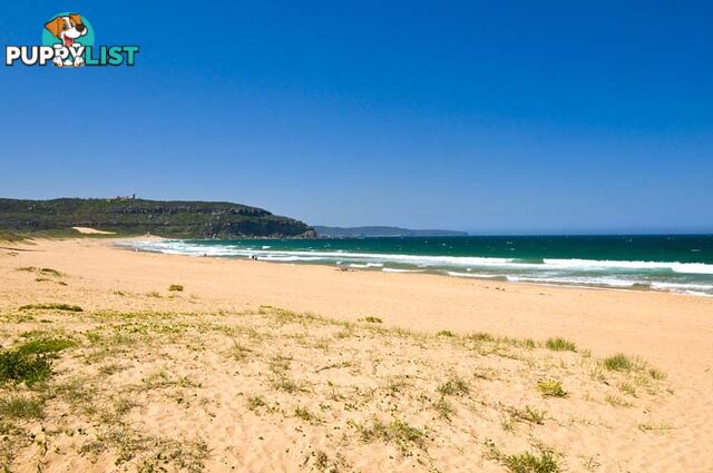 9 Ocean Road PALM BEACH NSW 2108